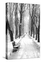 Mikhailovsky Gardens in winter, Saint Petersburg, Russia-Nadia Isakova-Stretched Canvas