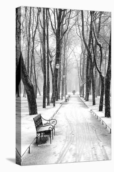 Mikhailovsky Gardens in winter, Saint Petersburg, Russia-Nadia Isakova-Stretched Canvas