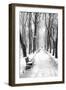 Mikhailovsky Gardens in winter, Saint Petersburg, Russia-Nadia Isakova-Framed Photographic Print