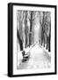 Mikhailovsky Gardens in winter, Saint Petersburg, Russia-Nadia Isakova-Framed Photographic Print