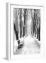 Mikhailovsky Gardens in winter, Saint Petersburg, Russia-Nadia Isakova-Framed Photographic Print