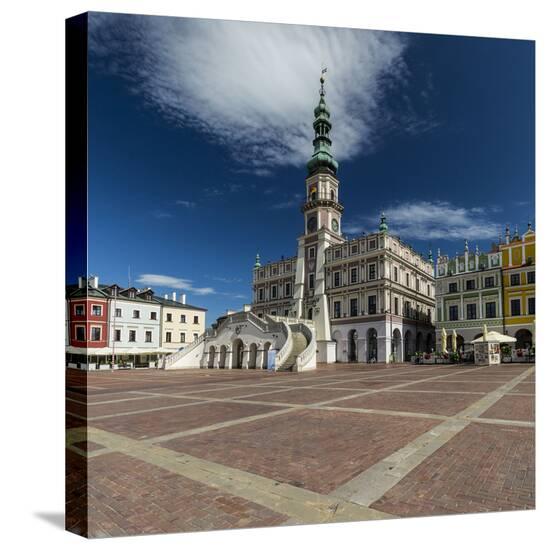 Stretched Canvas Print, , large