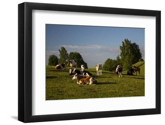 Photographic Print, , large