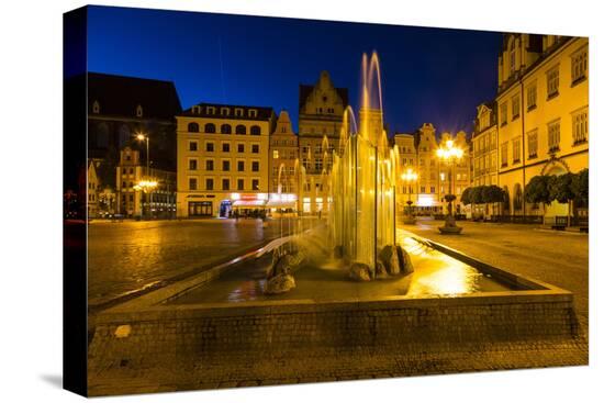 Stretched Canvas Print, , large