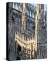 Milan Cathedral, Milan, Lombardy, Italy-Adam Woolfitt-Stretched Canvas