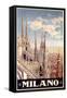 Milan Cathedral-null-Framed Stretched Canvas