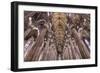 Milan, Lombardy, Italy: The Famous Dome In Milan-Axel Brunst-Framed Photographic Print