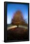 Essential Black