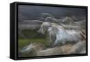 Framed Canvas