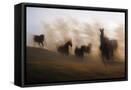 Framed Canvas