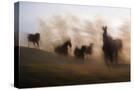 Stretched Canvas