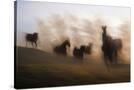 Stretched Canvas