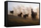 Canvas Black