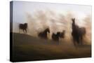 Stretched Canvas