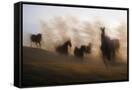 Canvas Black