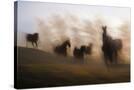 Stretched Canvas