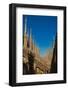 Milan, Milan Province, Lombardy, Italy. Spires on the roof of the Duomo, or cathedral.-null-Framed Photographic Print