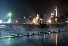 Ducks Silhouetted At Night On Heroes Square, Budapest, July 2009-Milan Radisics-Photographic Print