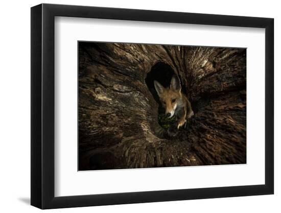 Premium Photographic Print, , large