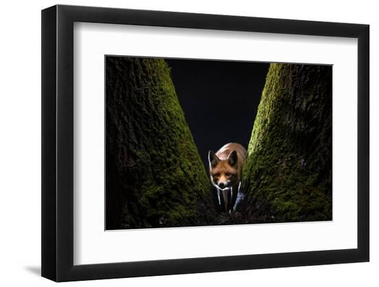 Premium Photographic Print, , large