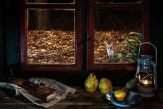 Female Fox on the porch of a farmhouse, Hungary-Milan Radisics-Photographic Print