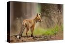 Stretched Canvas
