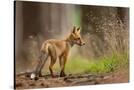 Stretched Canvas