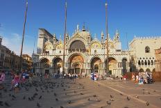 Venice-Mildax-Laminated Photographic Print