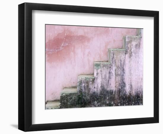 Mildew on Pink Stairs-Paul Souders-Framed Photographic Print