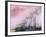 Mildew on Pink Stairs-Paul Souders-Framed Photographic Print