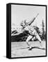 Mildred 'Babe' Didrikson, Winding Up for Javelin Toss at the 1932 Olympics-null-Framed Stretched Canvas