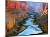 Mile 52 Colorado River-John Gavrilis-Mounted Photographic Print