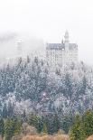 Neuschwanstein Castle in Winter, Fussen, Bavaria, Germany, Europe-Miles Ertman-Framed Photographic Print