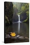 Sunrise in Mt. Rainier National Park During Wildflower Season-Miles Morgan-Mounted Photographic Print