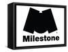 Milestone Records-null-Framed Stretched Canvas