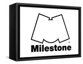 Milestone Records-null-Framed Stretched Canvas