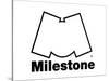 Milestone Records-null-Stretched Canvas