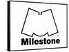 Milestone Records-null-Framed Stretched Canvas