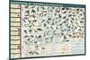 Milestones of Evolution Educational Science Chart Poster-null-Mounted Poster