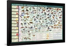 Milestones of Evolution Educational Science Chart Poster-null-Framed Poster