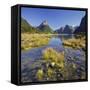 Milford Fictile, Fiordland National Park, Southland, South Island, New Zealand-Rainer Mirau-Framed Stretched Canvas