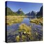 Milford Fictile, Fiordland National Park, Southland, South Island, New Zealand-Rainer Mirau-Stretched Canvas