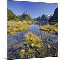 Milford Fictile, Fiordland National Park, Southland, South Island, New Zealand-Rainer Mirau-Mounted Photographic Print