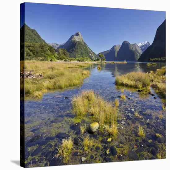 Milford Fictile, Fiordland National Park, Southland, South Island, New Zealand-Rainer Mirau-Stretched Canvas