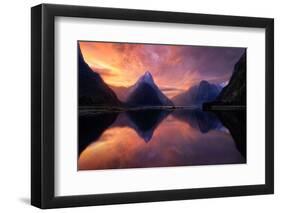 milford-sound-10-Lincoln Harrison-Framed Photo