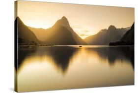 Milford-sound-2-Lincoln Harrison-Stretched Canvas