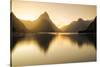 Milford-sound-2-Lincoln Harrison-Stretched Canvas