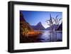 Milford Sound at Dawn-pawopa3336-Framed Photographic Print