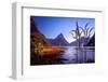 Milford Sound at Dawn-pawopa3336-Framed Photographic Print