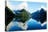 Milford Sound, Fiordland, New Zealand-Rawpixel com-Stretched Canvas